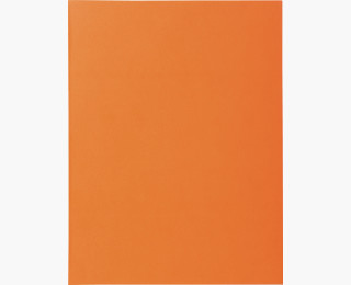 CHEMISE SUPER 210G ORANGE  PT DE 100              