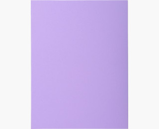 CHEMISE SUPER 210G LILAS  PT 100                  