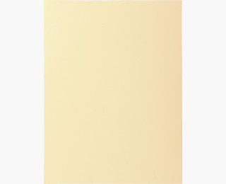CHEMISE SUPER IVOIRE 210G PT DE 100
