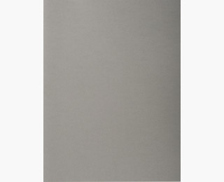 CHEMISE FOREVER GRIS  170G PT DE 100              