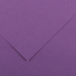 FEUILLES VIVALDI 50*65 MAUVE *25                  