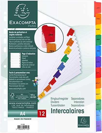 INTER CARTE MYLAR A4 12T MENSUEL                  