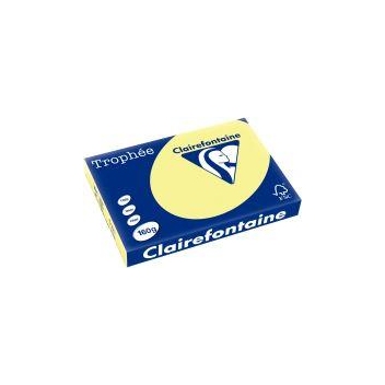 RAM A3 160G JONQUILLE TROPHEE 250F CLAIR          