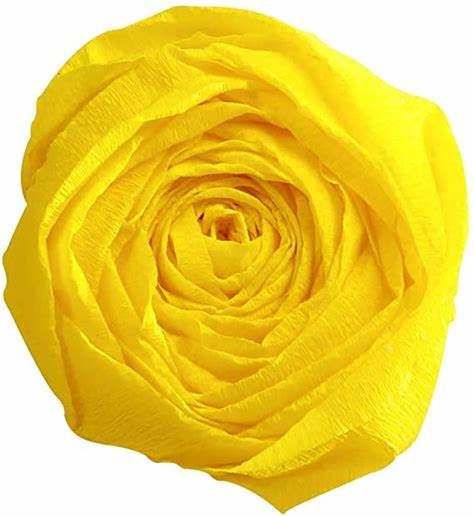 CREPON 2M*0.50M CITRON *10                        