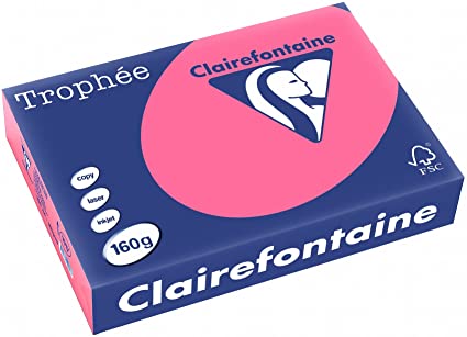 RAM A4 160G FUSCHIA RAM 250F TROPHEE CLAIRE