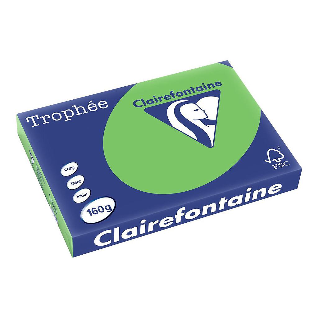 RAM A3 160G VERT MENTHE RAM 250F TROPHEE CLAIRE