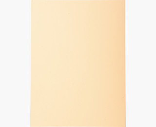 CHEMISE FOREVER  BULLE 170G PT100