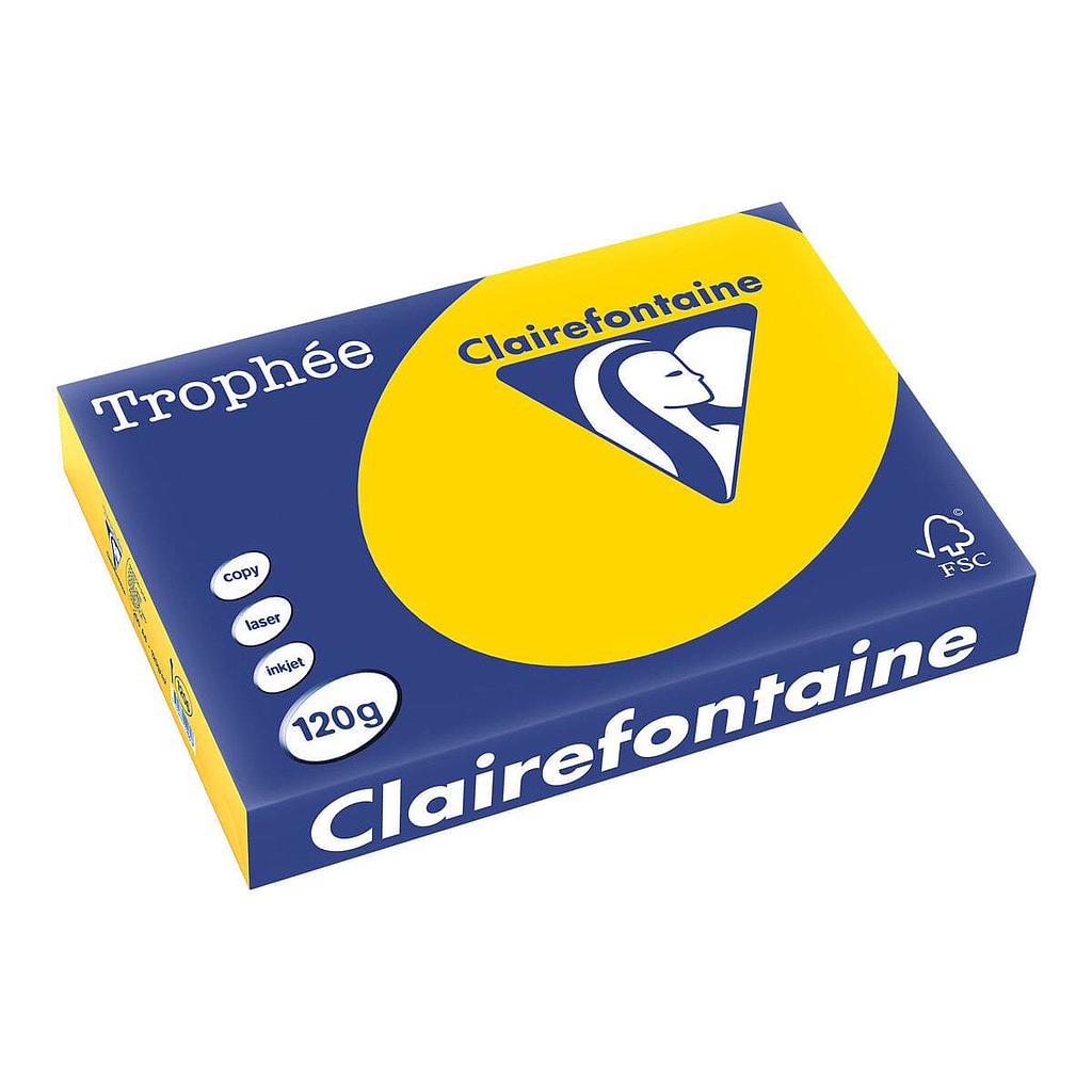 RAM A4 80G BOUTON D OR TROPHEE CLAIRE