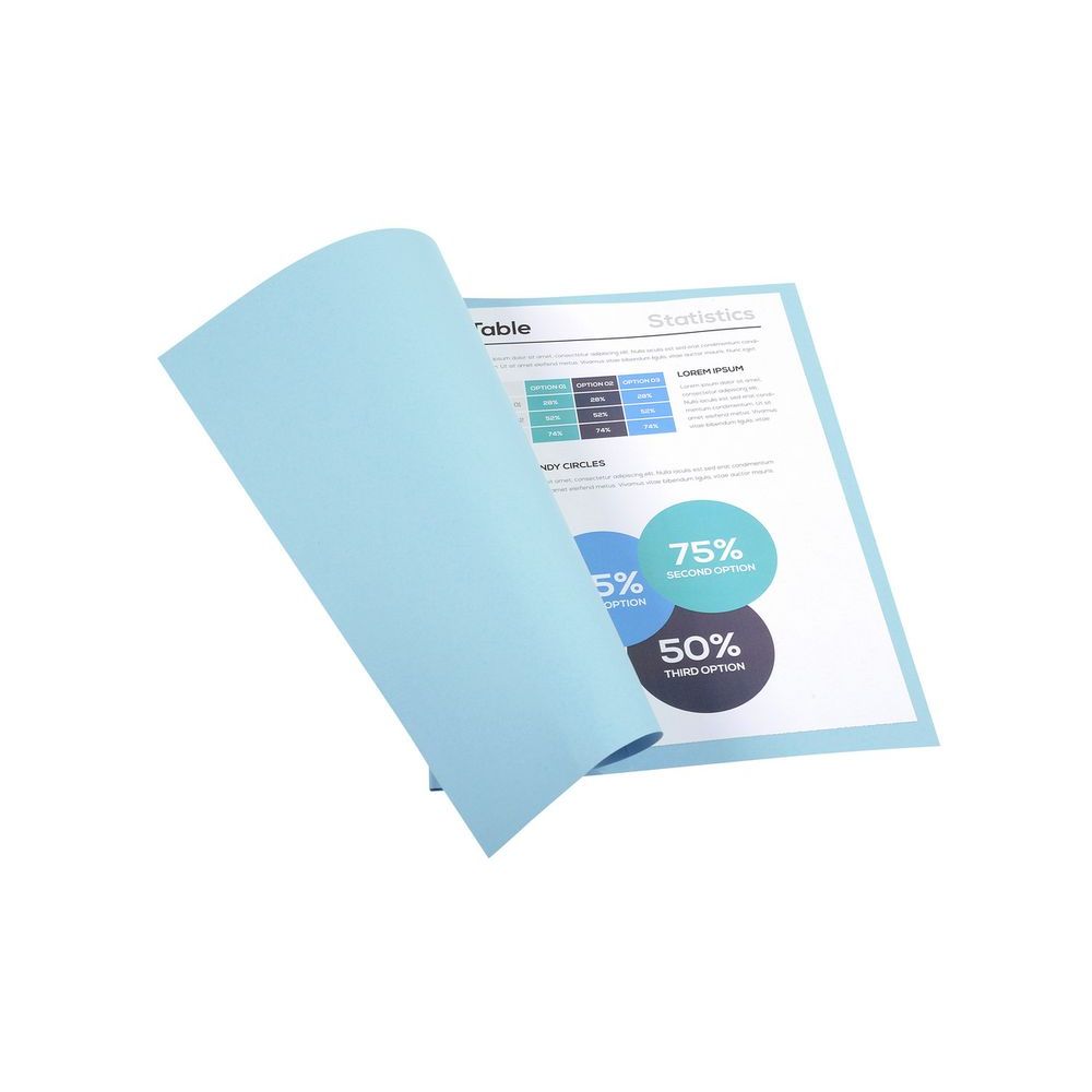 CHEMISE FOREVER BLEU CLAIR 220G 100EX