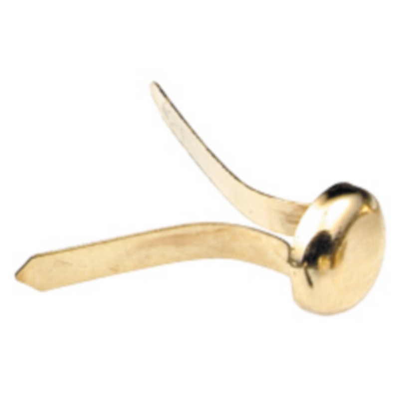 ATTACHE PARISIENNE DOREE 20MM*100