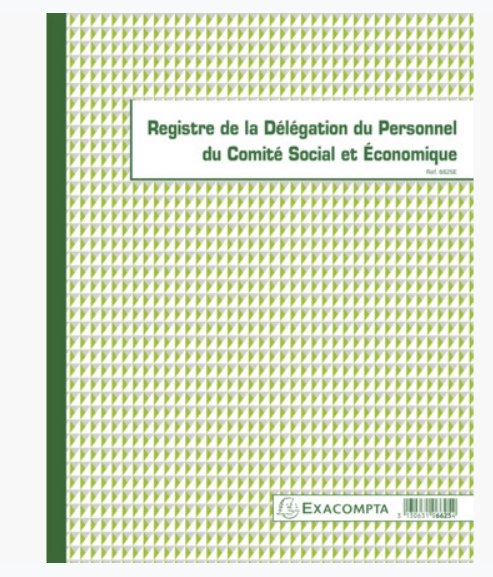 REGISTRE DELEGUES DU PERSONNEL ET CSE