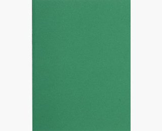 CHEMISE FLASH 220G VERT PT 100EX                  