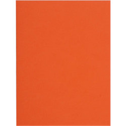 CHEMISE FLASH 220G ORANGE PT 100                  
