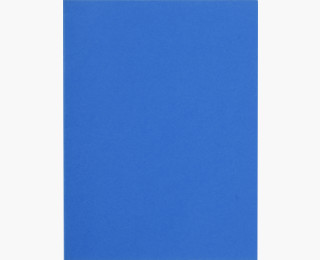 CHEMISE FLASH 220G BLEU FONCE PT DE 100           