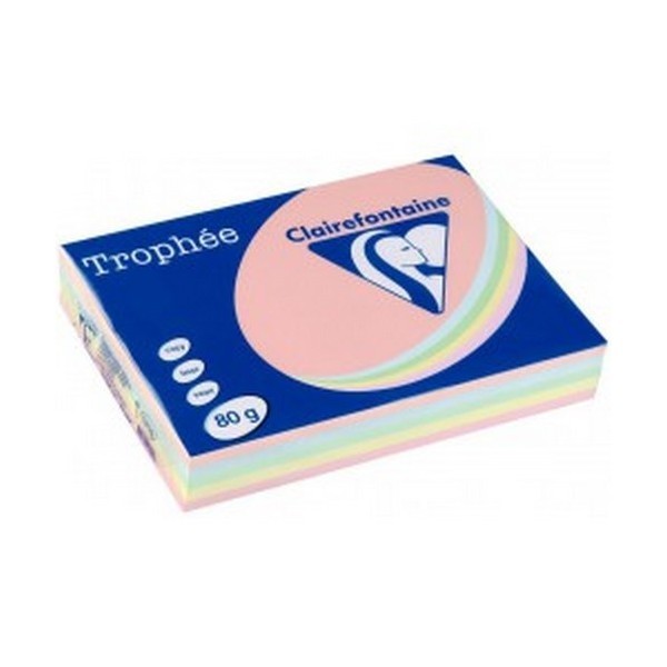 RAM A4 80G ASST PASTEL 500F CLAIRE                