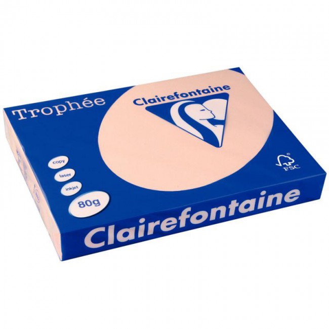 RAM A3 80G SAUMON TROPHEE CLAIREFONTAINE          