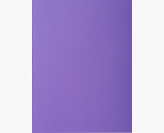 CHEMISE ROCKS 210G VIOLET PT 100                  