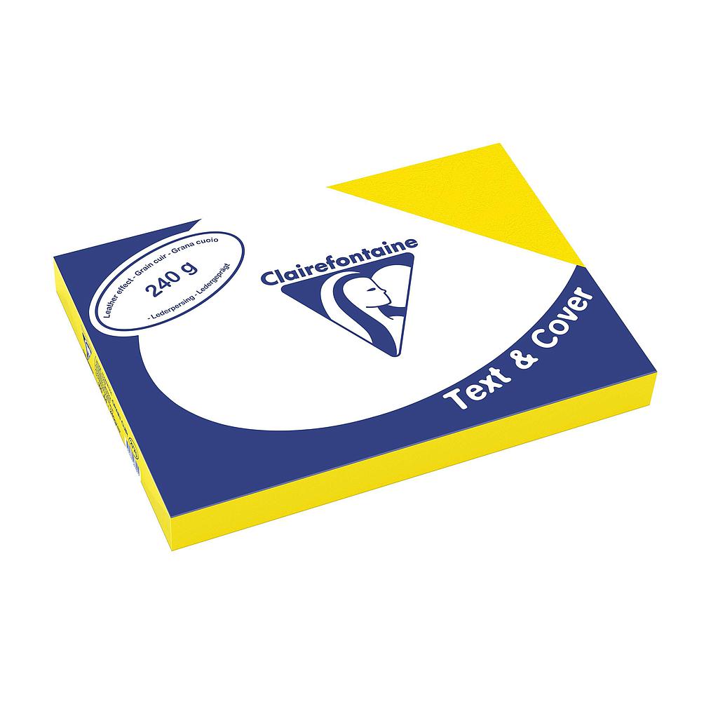 COUV GRAIN CUIR TOURNESOL A4 240G                 